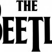 the beetle.jpg